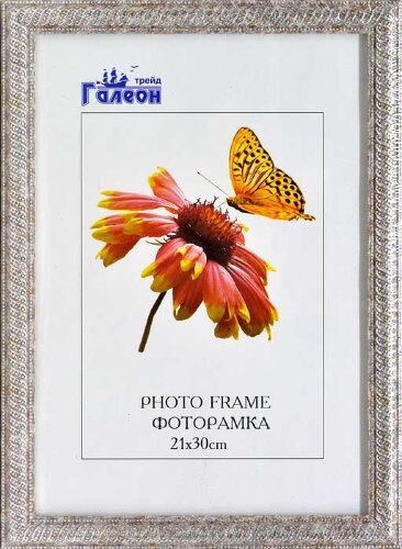 141614 (в уп.10шт.) - Фоторамка 21x30см. /1905C-19 [01110988] 141614 (в уп.10шт.) - Фоторамка 21x30см. /1905C-196X/, материал: пластик, стекло, двп.