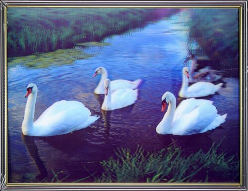 30х40 19 - Картина 5D [01109917] 30х40 19 - Картина 5D