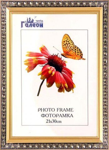 136393 (в уп.10шт.) - Фоторамка 21х30 /1702C3-012C [01068841] 136393 (в уп.10шт.) - Фоторамка 21х30 /1702C3-012C1/, размер: 21х30см, материал: пластик,стекло, двп.