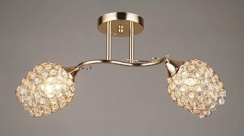 ВР-N4005/2 FGD (10) светильник потолочный [01098091] ВР-N4005/2 FGD (10) светильник потолочный