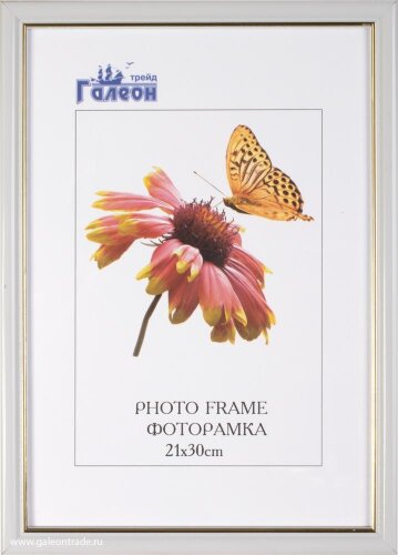 663978 (в уп.10шт.) - Фоторамка 21x30 / 1503B-012A [01110986] 663978 (в уп.10шт.) - Фоторамка 21x30 / 1503B-012AL1 /, материал: пластик, стекло, двп.