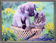 30х40 13 - Картина 5D [01109911]