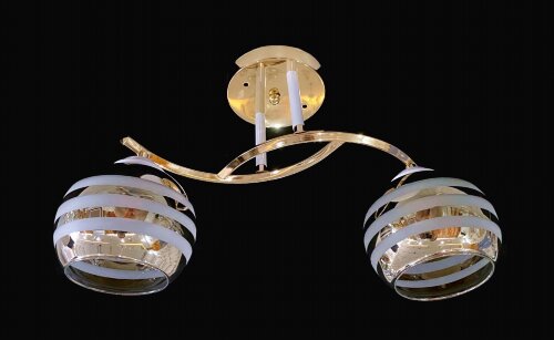 ДС9834A/2 FGD+WH (6) светильник потолочный [01100101] ДС9834A/2 FGD+WH (6) светильник потолочный