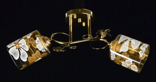 ДС2316/2B FGD (6) светильник потолочный [01086509] ДС2316/2B FGD (6) светильник потолочный