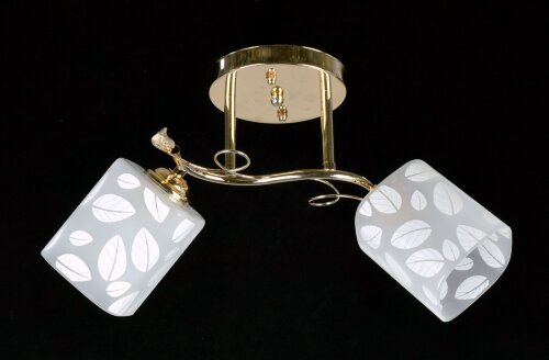 ДС75765B/2 FGD (6) светильник потолочный [01099388] ДС75765B/2 FGD (6) светильник потолочный