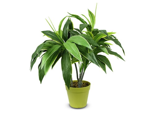 18784 (в уп.12шт.) - Растение декоративное "Мини Д [01064860] 18784 (в уп.12шт.) - Растение декоративное "Мини Драцена" с горшком 57см, материал: полиэстер+дерево.