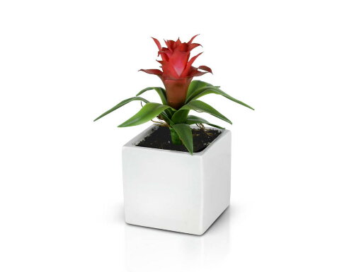 Цветочная композиция Гусмания, размер: высота 23 с [01093948] Цветочная композиция Гусмания, размер: высота 23 см, ширина 13см, материал: керамика  РУЧНАЯ РАБОТА