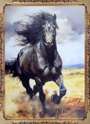 50*70 8075 - Репродукция картины [01111707]