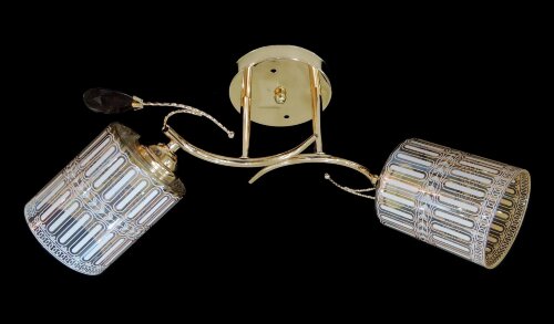 ДС9838A/2 FGD (6) светильник потолочный [01101402] ДС9838A/2 FGD (6) светильник потолочный