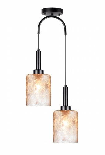 ДМ547/2 BK+WH (1) светильник потолочный [01110753] ДМ547/2 BK+WH (1) светильник потолочный