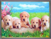 30х40 17 - Картина 5D [01109915]