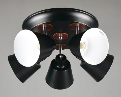 ФП-GH96323/5 BK (6) светильник потолочный [01087478] ФП-GH96323/5 BK (6) светильник потолочный