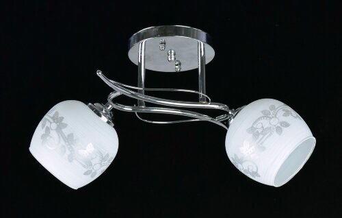 ДС9179/2 (6) CR светильник потолочный [01074781] ДС9179/2 (6) CR светильник потолочный