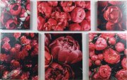 125*80/6 S-0638 - Модульная картина [01105282]