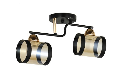 Д9091/2 BK+FG (10) светильник потолочный [01103339] Д9091/2 BK+FG (10) светильник потолочный