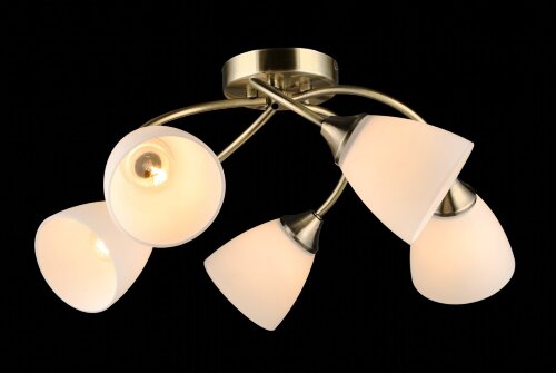 ВР-N6634/5 AB D540*H235мм (4) светильник потолочны [01109558] ВР-N6634/5 AB D540*H235мм (4) светильник потолочный