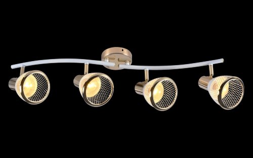 МС-DA5967/4 WH+FGD (6) светильник потолочный [01096998] МС-DA5967/4 WH+FGD (6) светильник потолочный