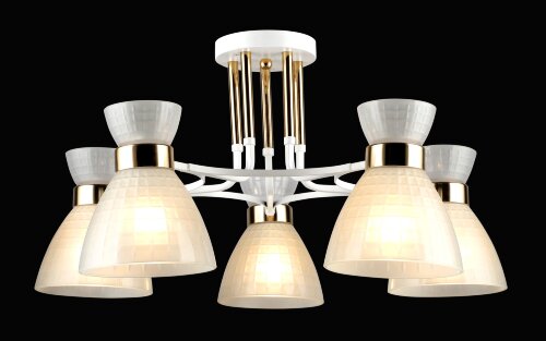 ВР-N5691/5 WT+FGD (4) светильник потолочный [01105424] ВР-N5691/5 WT+FGD (4) светильник потолочный