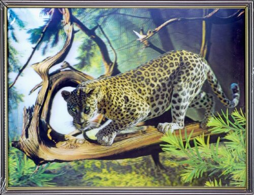 30х40 25 - Картина 5D [01109923] 30х40 25 - Картина 5D