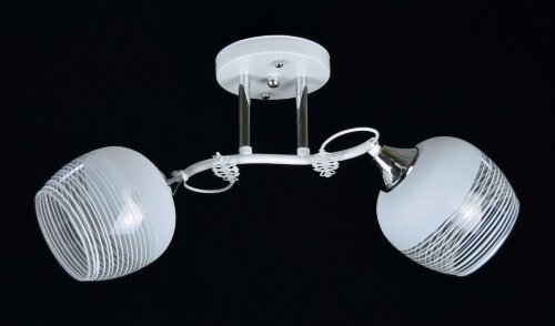 ВР-N4015/2 WT+CR (10) светильник потолочный [01098113] ВР-N4015/2 WT+CR (10) светильник потолочный