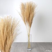 735072 (в уп.200шт.) - Сухоцвет, набор 10шт. 75см [01110457]