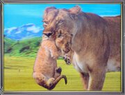 30х40 27 - Картина 5D [01109925]