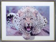 30х40 24 - Картина 5D [01109922]