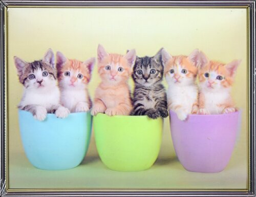 30х40 11 - Картина 5D [01109909] 30х40 11 - Картина 5D