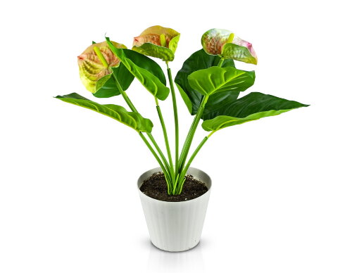Цветочная композиция Антуриум №2 маленькая, размер [01107077] Цветочная композиция Антуриум №2 маленькая, размер: высота 35 см, ширина 30 см, материал: пластик,  РУЧНАЯ РАБОТА