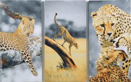 65*99/3 D-10058 - Модульная картина [01098996] 65*99/3 D-10058 - Модульная картина