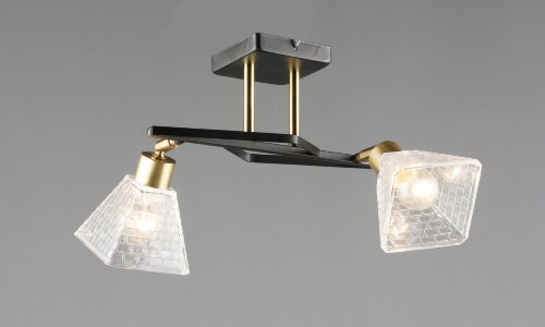 ВР-N6972/2 BK+COP L370*W325*H225 мм (10) светильни [01110147] ВР-N6972/2 BK+COP L370*W325*H225 мм (10) светильник потолочный