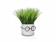 Осока в горшке-очки, размер: высота 25см., ширина [01103918]