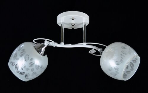 ВР-N4021/2 WT+CR (10) светильник потолочный [01098687] ВР-N4021/2 WT+CR (10) светильник потолочный