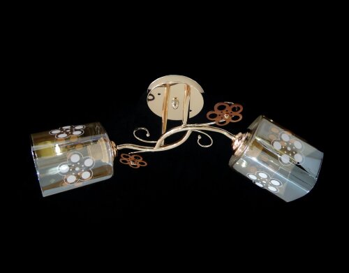 ДС9640A/2 FGD (6) АКЦИЯ светильник потолочный [01095426] ДС9640A/2 FGD (6) АКЦИЯ светильник потолочный