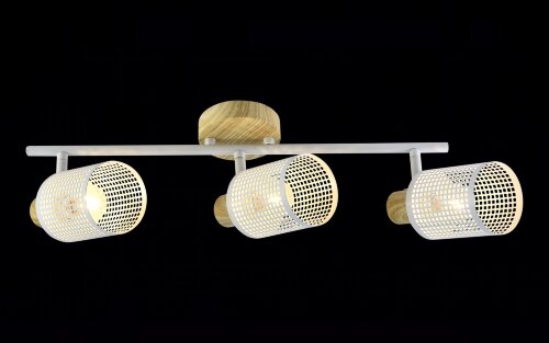 МС-DA6109/3 WD+WH (6) светильник потолочный [01101710] МС-DA6109/3 WD+WH (6) светильник потолочный