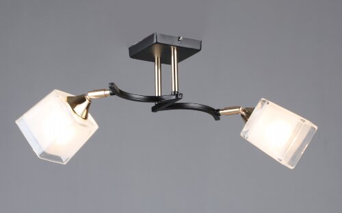 ВР-N6404/2 BK+FGD L550*W170*H210мм (10) светильник [01109753] ВР-N6404/2 BK+FGD L550*W170*H210мм (10) светильник потолочный