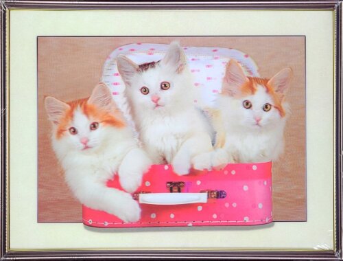 30х40 33 - Картина 5D [01110517] 30х40 33 - Картина 5D