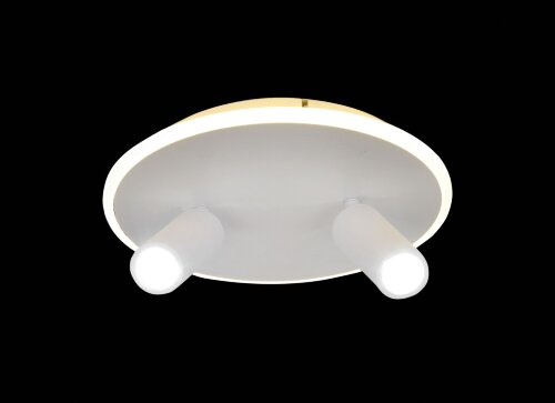 Х20649/2 WT LED35W 3000-4000-6000K Dimmer (5) свет [01104264] Х20649/2 WT LED35W 3000-4000-6000K Dimmer (5) светильник потолочный