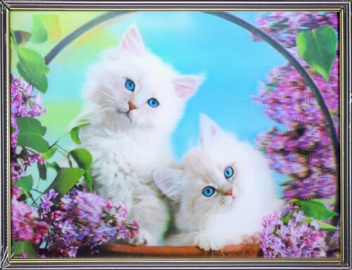 30х40 12 - Картина 5D [01109910] 30х40 12 - Картина 5D