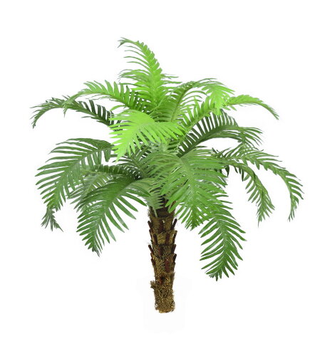 14881WP (в уп.12шт.) - Дерево декоративное "Папорт [01064849] 14881WP (в уп.12шт.) - Дерево декоративное "Папортник" без горшка 88см, полиэстер+дерево.