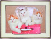 30х40 33 - Картина 5D [01110517]