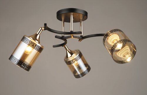 ВР-N4019/3 BK+FGD (6) светильник потолочный [01098649] ВР-N4019/3 BK+FGD (6) светильник потолочный