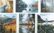 125*80/6 S-0669 - Модульная картина [01106228]