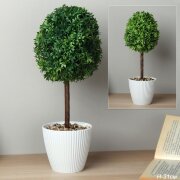 736323 (в уп.10/60шт.) - Цветочная композиция Самш [01108770]