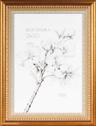 670369 (в уп.10шт.) - Фоторамка 21x30см. /KS4020-1 [01110010] 670369 (в уп.10шт.) - Фоторамка 21x30см. /KS4020-1 /, материал: пластик, стекло, двп.