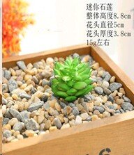 682786 (в уп.100шт.) - Суккулент искусственный / G [01102579] 682786 (в уп.100шт.) - Суккулент искусственный / GN100 /, материал: пластик.