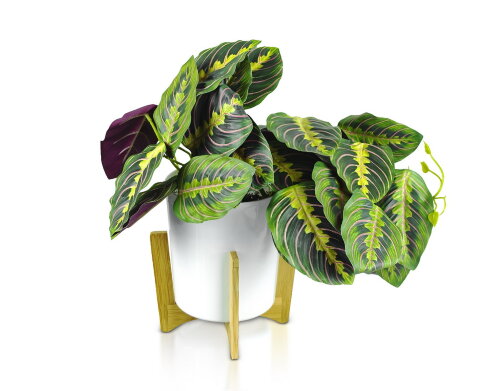 Маранта, размер: высота 35 см, ширина 35 см, матер [01107081] Маранта, размер: высота 35 см, ширина 35 см, материал: пластик,  РУЧНАЯ РАБОТА