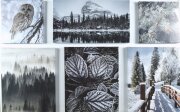 125*80/6 S-0675 - Модульная картина [01103285]