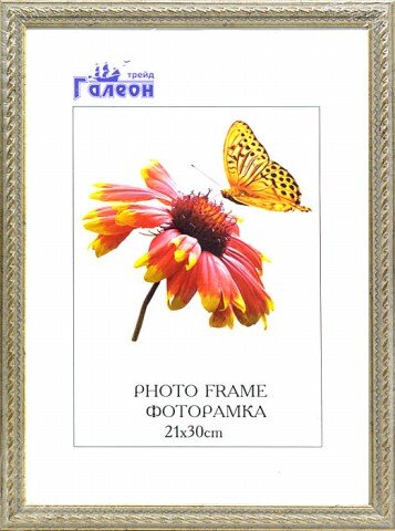 144543 (в уп.10шт.) - Фоторамка 21x30см. /1606C-A1 [01104049] 144543 (в уп.10шт.) - Фоторамка 21x30см. /1606C-A10/, материал: пластик, стекло, двп.