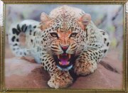 50х70 19 - Картина 5D [01098936]